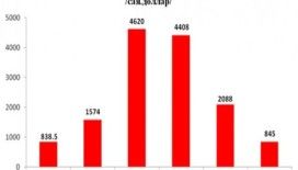 Yatırım 845 milyon dolara kadar düştü