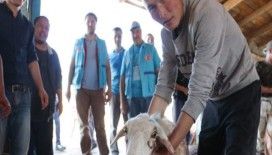 Çocuklar bayramın geldiğini Türkleri görünce anlıyor