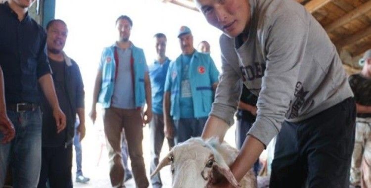 Çocuklar bayramın geldiğini Türkleri görünce anlıyor