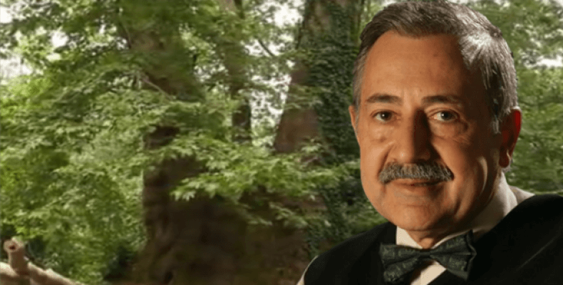 Anıt ağaçlar