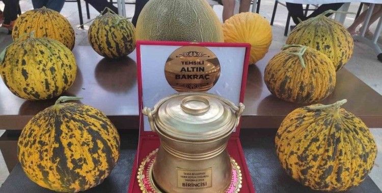 Yoğurt ve kavunun en iyileri Tavas’ta belirlendi
