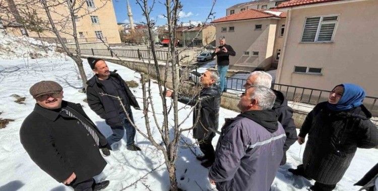 Refahiye’de budama eğitimi