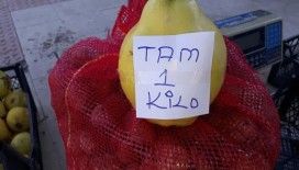 Sarıgöl’de limon ayva üretimi yaygınlaşıyor
