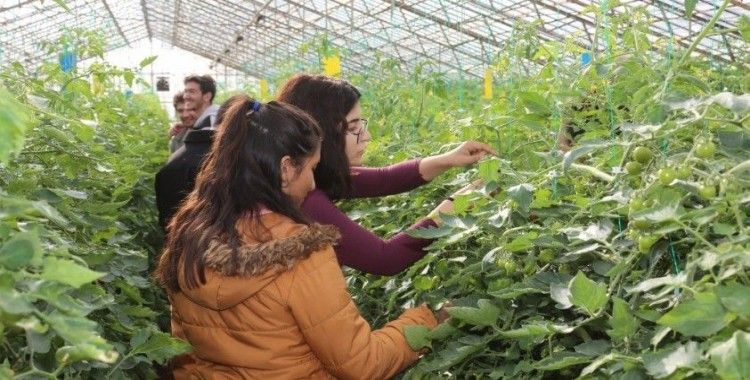 Akdeniz Üniversitesi öğrencilerinin 207 projesi TÜBİTAK tarafından desteklenecek