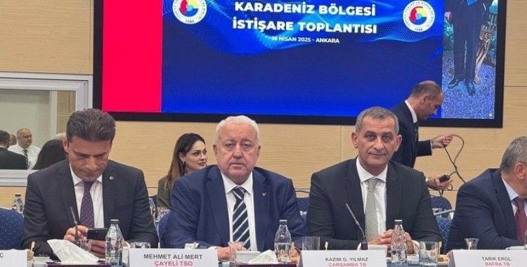Karadeniz Bölgesi İstişare Toplantısı