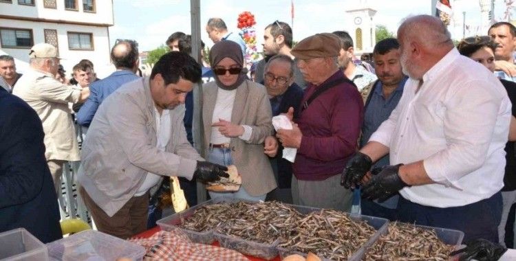 Manisa’daki festivalde 2 ton hamsi dağıtıldı