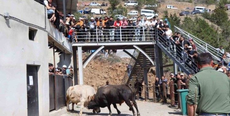 Kral ile Ateş arenaya sığmadı