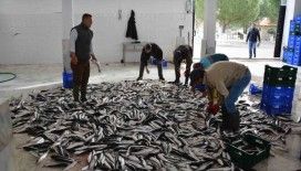 Nisan ayında Muğla’dan ülke ekonomisine 95,2 milyon dolarlık ihracat katkısı
