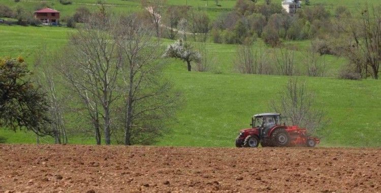 Ordu’nun atıl arazileri bereketleniyor: 34 bin 800 dekar atıl arazi tarıma kazandırıldı