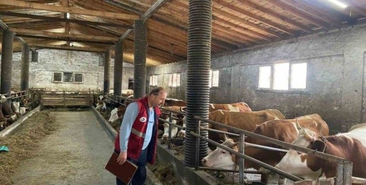 Çarşamba’da şap hastalığı taraması