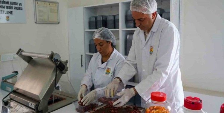 Tarsus’ta meyve ve sebze paketleme tesisi hizmete girdi