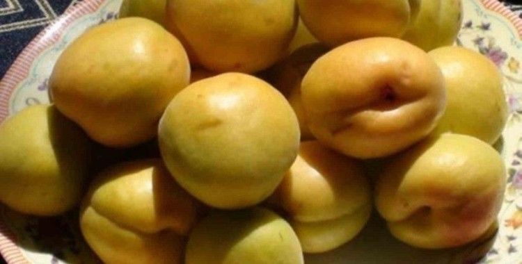 Mut Karacaoğlan Kayısı Kültür ve Sanat Festivali 30 Mayıs’ta
