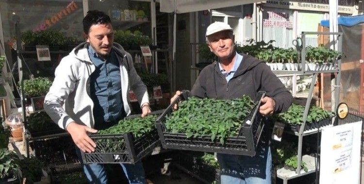 Tavşanlı’da fide çeşitliliği ile verimli sezon bekleniyor