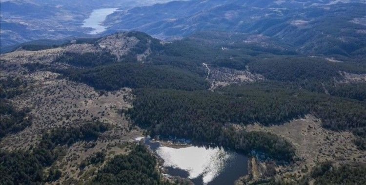 Ankara'da ormanlık alanlara giriş yasağı
