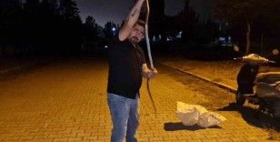 Yılanlara fısıldayan adam, çamaşır makinesine giren 1 buçuk metrelik karayılanı nasihat vererek doğaya bıraktı
