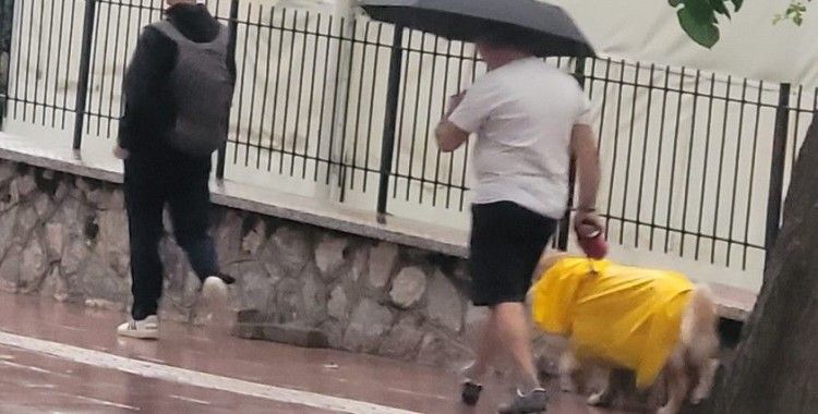 Aydın güne yağmurla uyandı