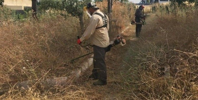 Didim Belediyesi’nden ’kuru ot’ seferberliği