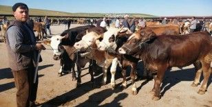 Bayburt’ta kurban kesim yerleri belli oldu
