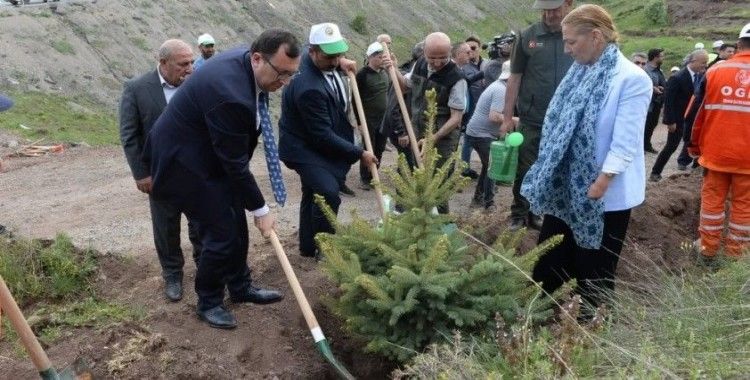 TBMM’nin 105. yılı anısına 105 bin fidan toprakla buluştu