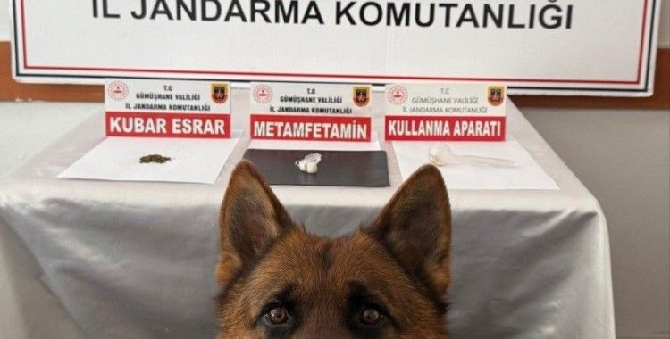 Gümüşhane’de uyuşturucu operasyonu