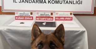 Gümüşhane’de uyuşturucu operasyonu
