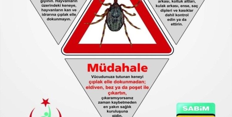 Vakaların arttığı keneye karşı alınabilecek önlemler