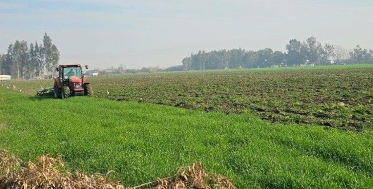 41 hektarlık ormanı tarım alanına dönüştürmeye çalıştılar, zamanında müdahale engel oldu