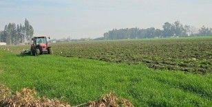 41 hektarlık ormanı tarım alanına dönüştürmeye çalıştılar, zamanında müdahale engel oldu
