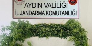 Jandarma ekipleri uyuşturucuya geçit vermedi
