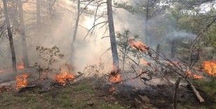 Bolu’da ormanlık alana düşen yıldırım yangına neden oldu
