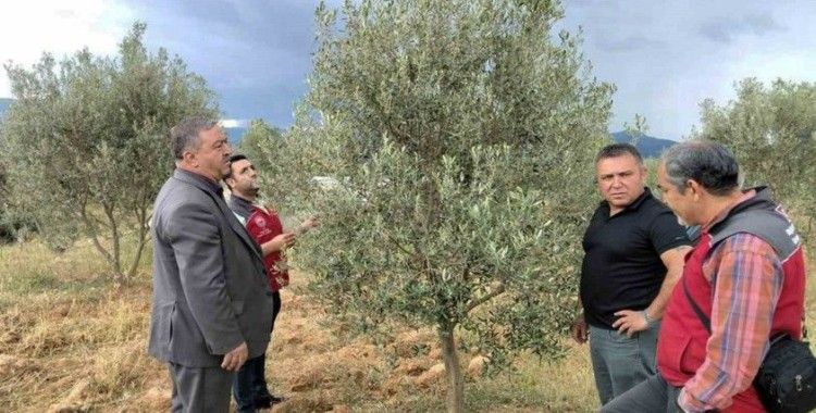 Dolunun vurduğu Esençay’da hasar tespiti yapıldı
