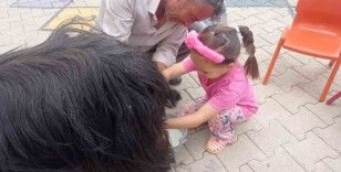 Şırnak’ta öğrencilere keçi sağımı uygulamalı olarak gösterildi

