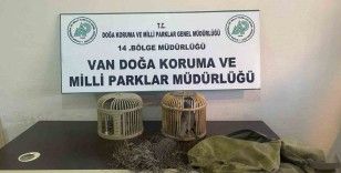 Van’da kaçak keklik avlayan bir kişiye 49 bin 219 lira ceza
