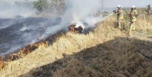 Antakya’da saman balyaları yandı

