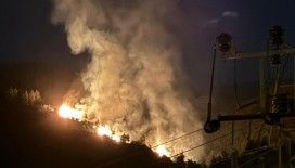 Nazilli’de orman yangını
