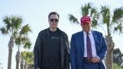 Trump: Elon Musk'ı düşünmüyorum
