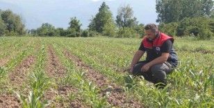 Son gün 10 Haziran
