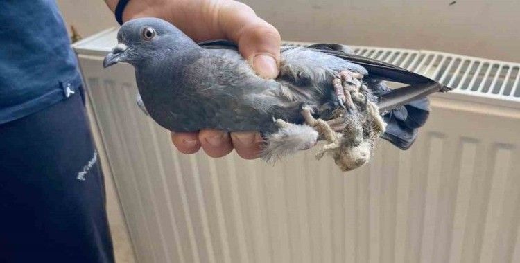 Türkeli Anadolu İHL öğrencilerinden örnek davranış