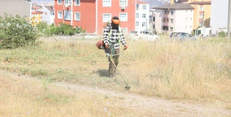 Boş arazilerdeki otlar biçiliyor
