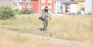 Boş arazilerdeki otlar biçiliyor
