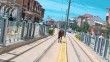 Tramvay rayları üzerindeki başı boş at şaşırttı
