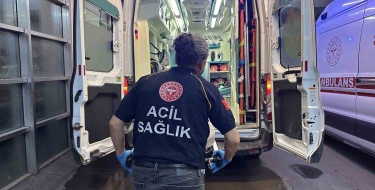 Yılanın ısırdığı kişi hastaneye kaldırıldı