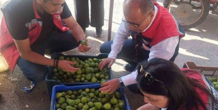 Germencik’te ilek tezgahları denetlendi