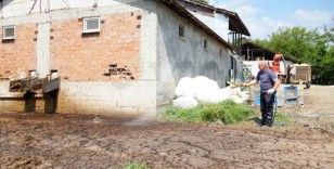 Düzce’de görülmeye başladı
