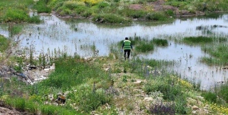 Bayburt’ta kene, bit, pire ve larvalara karşı çalışma başlatıldı