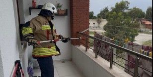 Arsuz’da evin balkonunda yılan paniği
