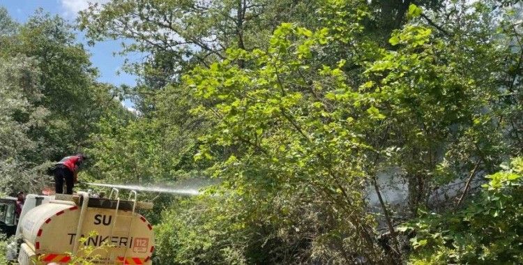 Koskoca tabiat parkı bir sigara izmariti yüzünden kül olacaktı