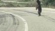 Bolu’da kara yoluna çıkan ayı cep telefonuna yansıdı
