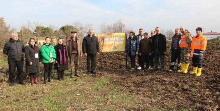 Atakum’da hayvancılık yapan ailelere yem bitkisi desteği