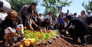 Sanatçı Ayşe Şan'ın cenazesi 29 yıl sonra Diyarbakır'a getirildi
